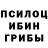 Галлюциногенные грибы Psilocybe Dima Kitlik