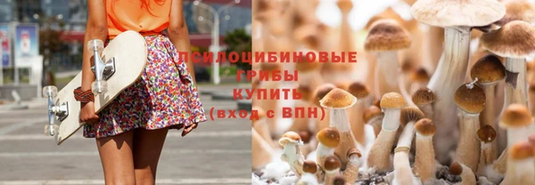 ешки Баксан