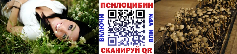 OMG онион  даркнет сайт  Гдов  Псилоцибиновые грибы Psilocybe 